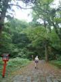大神山神社奥宮 参道01