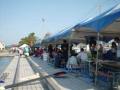 regatta 02