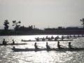 regatta 05