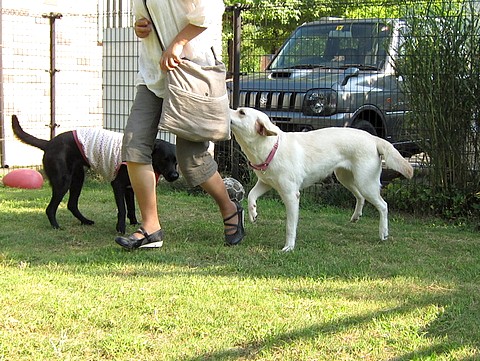20110829fu-anzu3.jpg