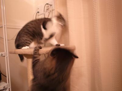 上から攻撃