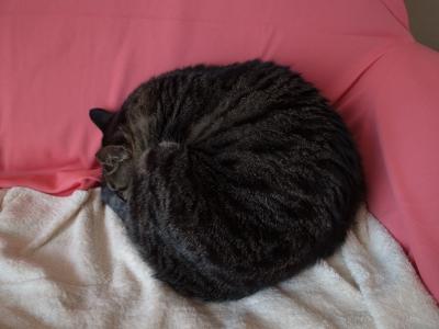 最小の大きさ