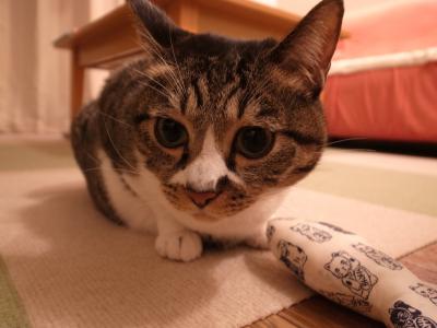 我にかえる