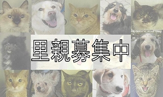 satooya.jpg