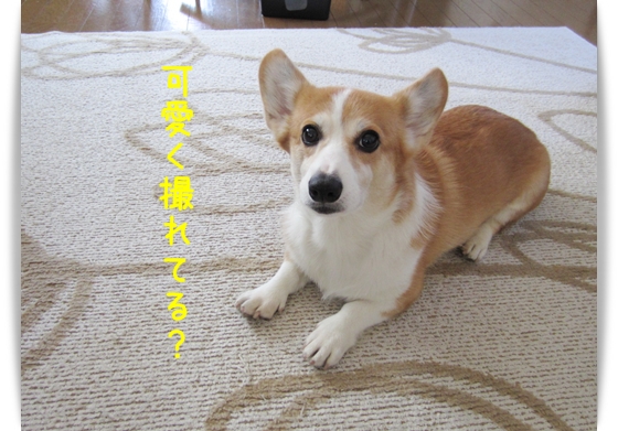可愛く撮れてる? 可愛く撮れてる?