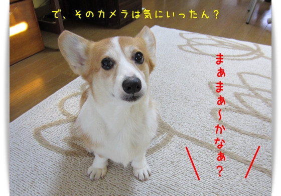 そのカメラ気に入ったん? そのカメラ気に入ったん?