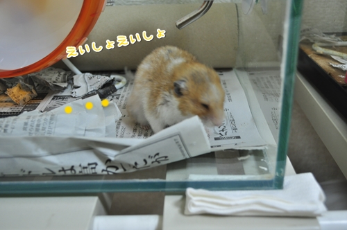 遠回りで・・