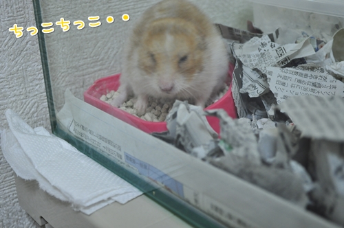 ちゃんとおトイレで。