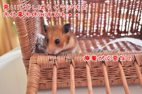 ファンのみんなごめん