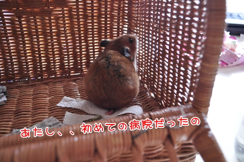 あれが病院。。