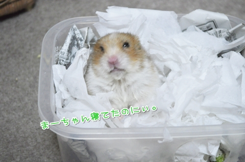 んもう