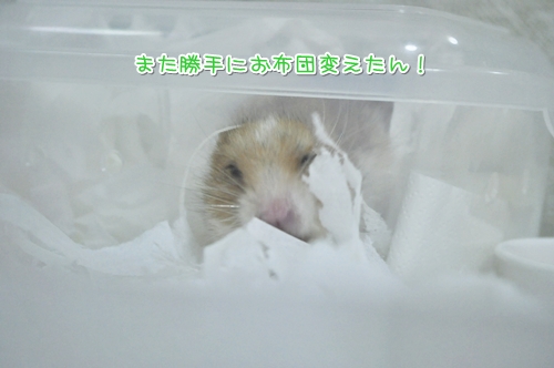 もー