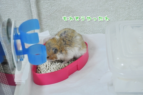 あぶないあぶない
