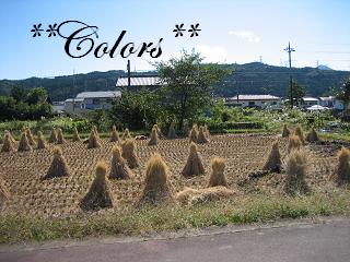 草津温泉2011.10.4 011-1