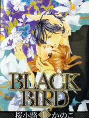 ｂｌａｃｋ ｂｉｒｄ 横浜ネットカフェ漫画喫茶おすすめ コミックｂｂ 白楽六角橋店 少女コミック