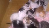 mini_120727_21270004.jpg