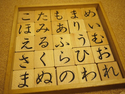 トイプードルcotaにっき