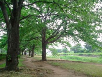 2013-05-26.jpg