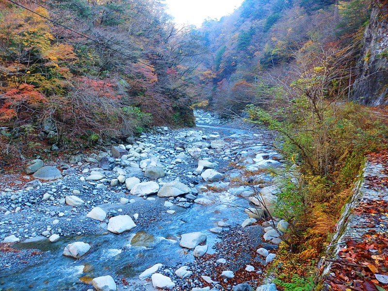 PB260477.jpg
