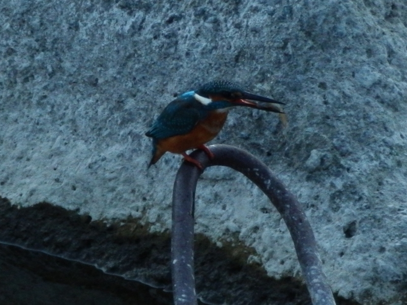 PC060686.jpg