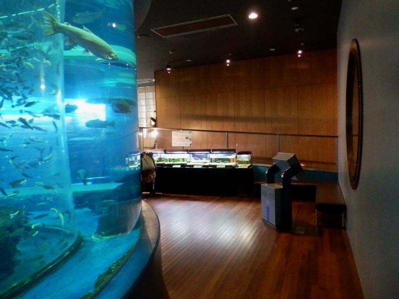 PC080809.jpg