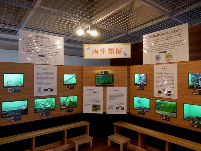 PC080892.jpg