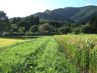 東北2