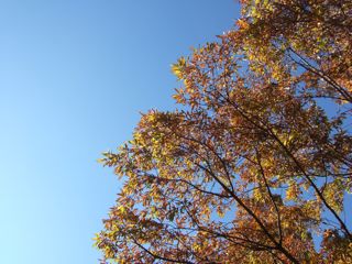 9月の新月1
