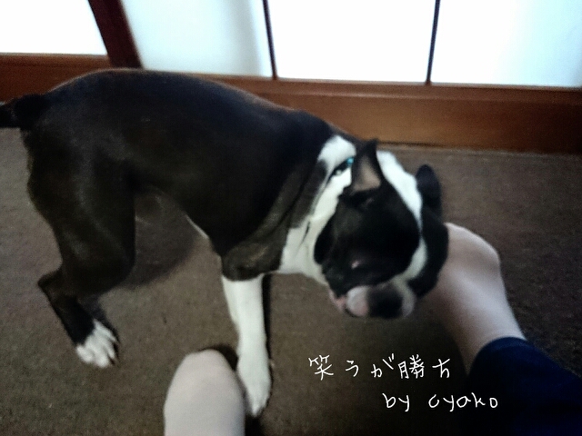 fc2_2014-01-31_15-01-21-461.jpg