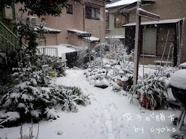 fc2_2014-02-08_16-48-24-218.jpg