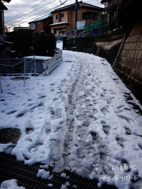 fc2_2014-02-09_16-49-47-220.jpg