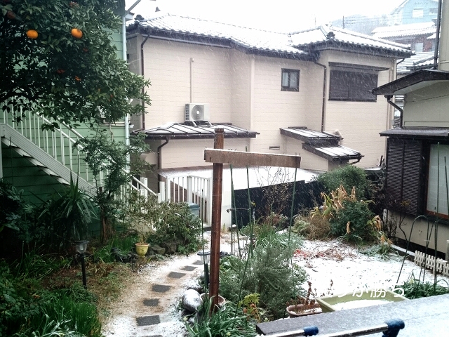 fc2_2014-02-14_17-57-32-646.jpg