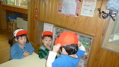 帽子