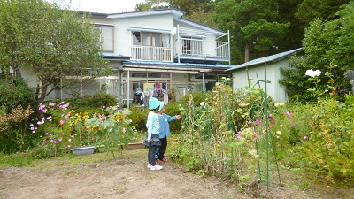 きゅうりもうないのお