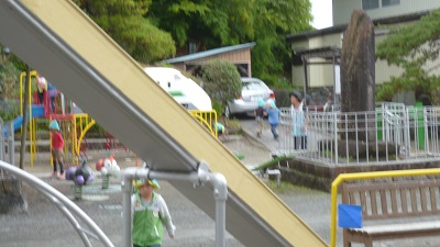 ひらひらと、見つけられますか