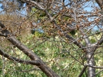 DSCN0080.jpg