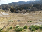 DSCN0085.jpg