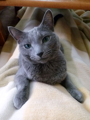 Luna