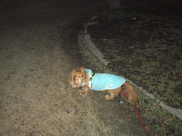 SN3O0291_20120301232905.jpg
