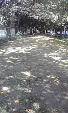 ダックスやからダクやねん!-090905_0903~01.jpg
