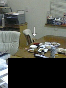 ダックスやからダクやねん!-100126_2015~01.jpg