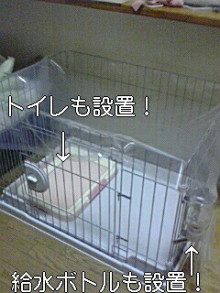 ダックスやからダクやねん!-100313_2106~01.jpg