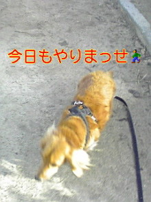 ダックスやからダクやねん!-100314_0801~01.jpg