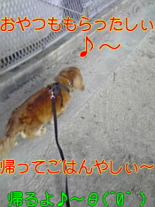 ダックスやからダクやねん!-100318_0718~02.jpg