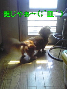 ダックスやからダクやねん!-100501_1224~01.jpg