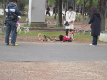$ダックスやからダクやねん!