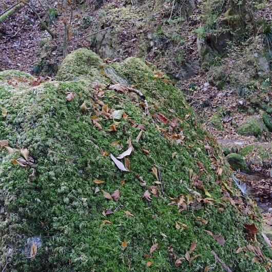 0191209.jpg
