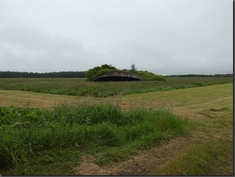R0010354
