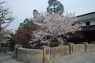 kurasiki0001.jpg