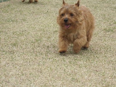 120415d.jpg